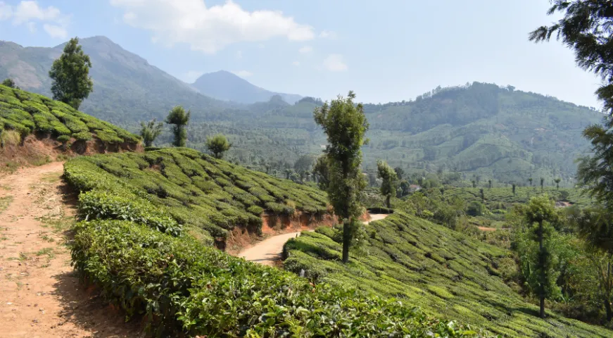 Karela tour gallary