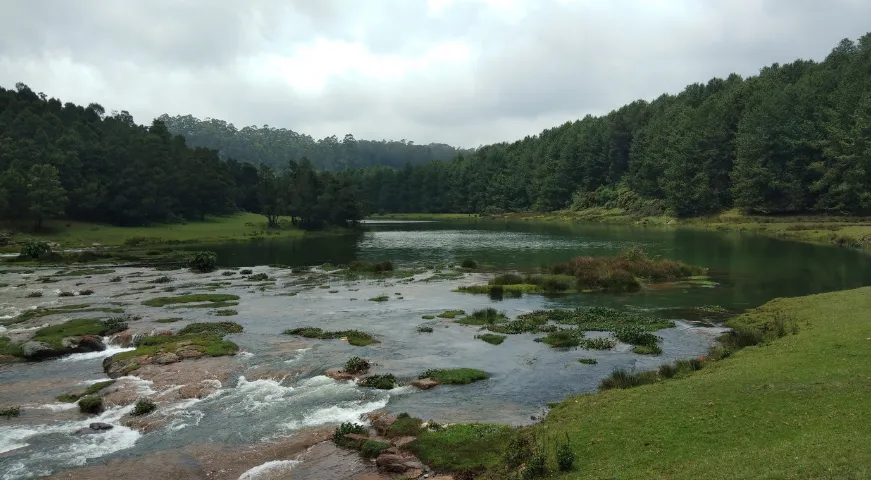 Ooty Galary