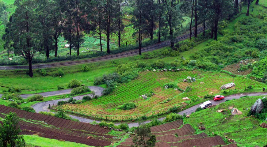 Ooty Gallary.