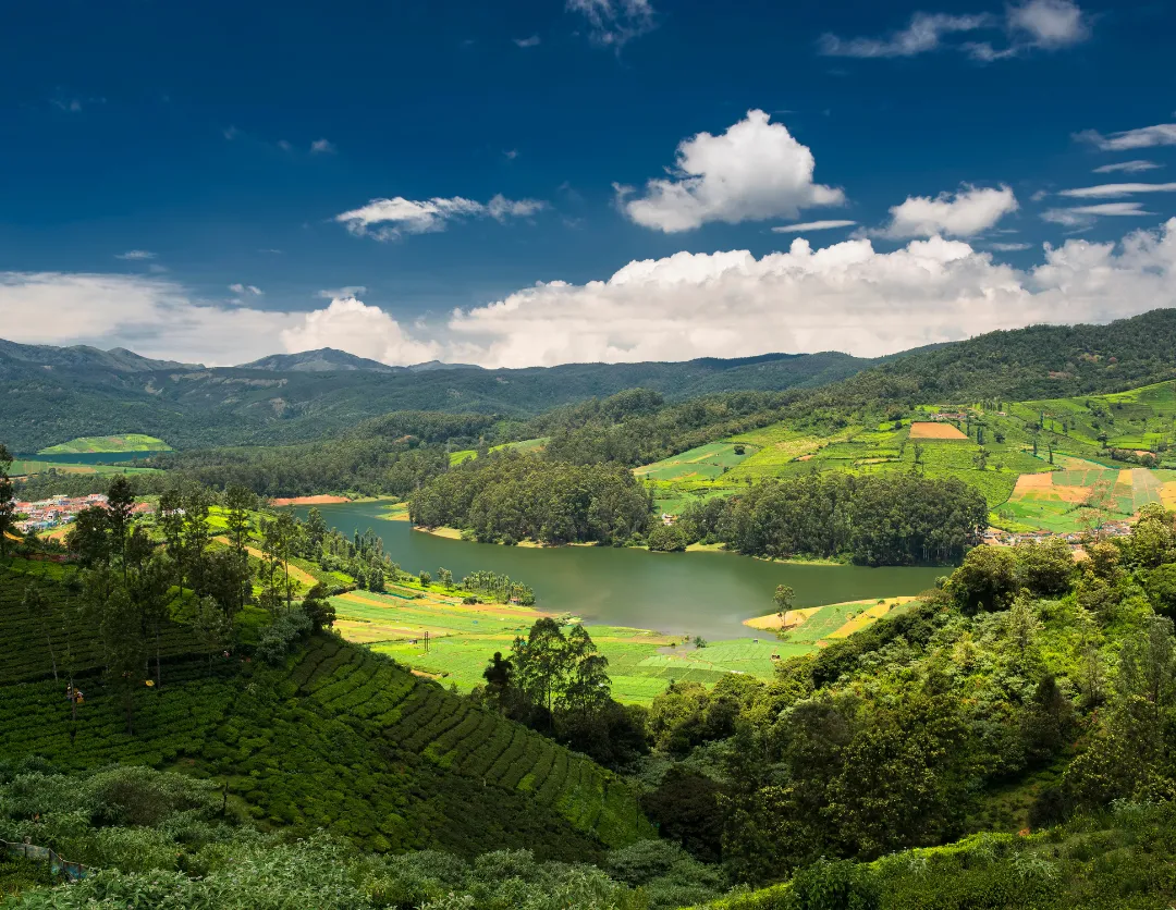 Beautiful Ooty hills and tea garden landscape